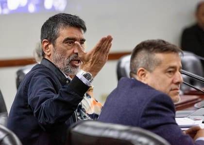 Taihlade y Recalde en el plenario del Consejo de la Magistratura