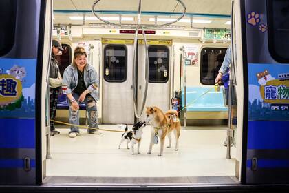 Taipéi, Taiwán. Edición fotográfica de Jesica Rizzo