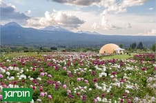 Tiene más de 150.000 flores, abre solo unas semanas y ya es uno de los jardines más sorprendentes de la Patagonia