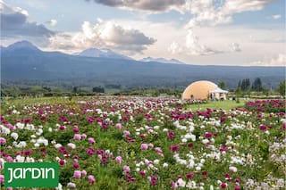 Tiene más de 150.000 flores, abre solo unas semanas y ya es uno de los jardines más sorprendentes de la Patagonia