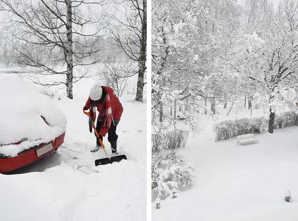 "Takatalvi": regreso inesperado del invierno