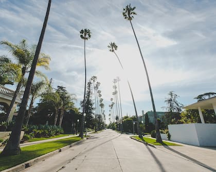 Tallahassee, Gainesville, Cape Coral y Orlando ofrecen propiedades amplias y cómodas por rentas de US$1500
