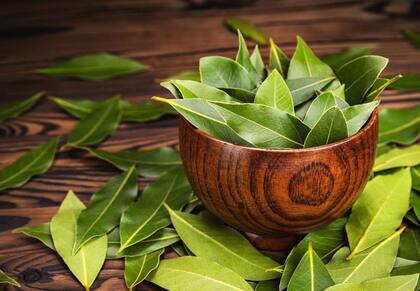 También existe un ritual con hojas de laurel que atrae la prosperidad económica