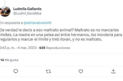 También hubo usuarios que defendieron la actitud de Rodo, el papá de Nacho, que golpeó a Mora, la cachorra de la casa de Gran Hermano