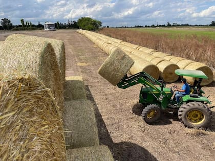 También se incluyen rollos de cola de cosechadora de avena, cebada o triticale como fuentes de fibra, más núcleo vitamínico y mineral