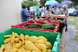 Comida gratis en la última semana de julio: calendario y dónde entregan bolsas de alimentos frescos