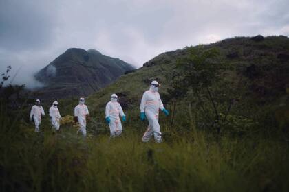 Tanto en las selvas africanas como en el interior de las cuevas de murciélagos en Turquía, epidemiólogos, ecólogos y virólogos buscan en poblaciones animales patógenos.