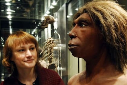 Tanto hombres como mujeres neandertales se cruzaron con nuestra propia especie, según registros genéticos