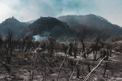 Tanto la intensidad como la frecuencia de estos incendios en la Patagonia generaron modificaciones en el terreno