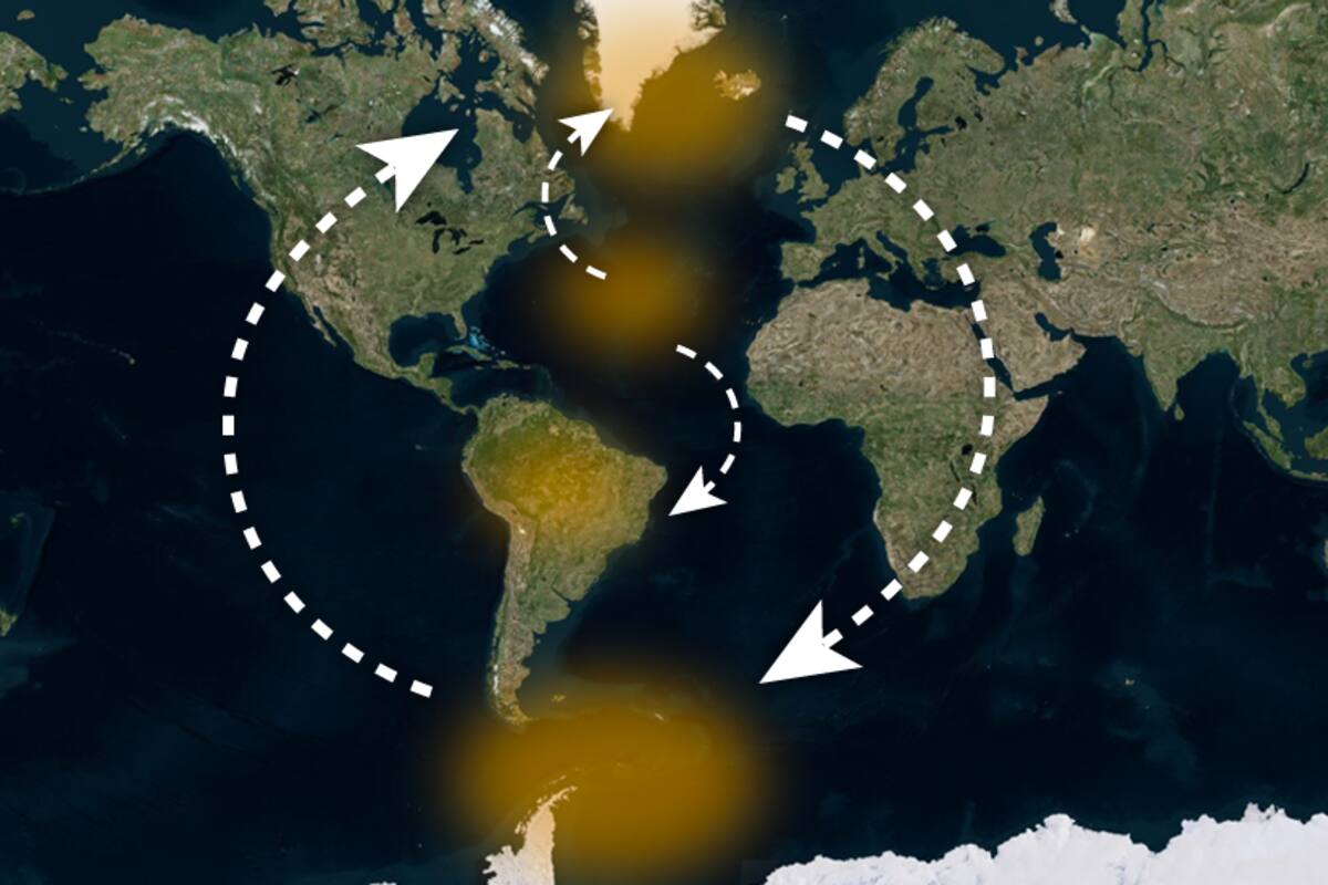 "Tanto los políticos como el público en general debemos comprender que todos los elementos del sistema terrestre están interligados", señaló el científico brasileño Carlos Nobre
