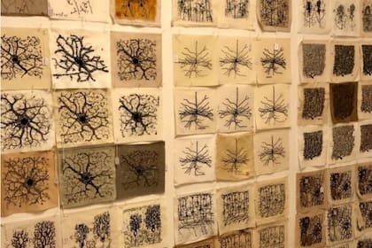 Tapiz que homenajea las icónicas neuronas dibujadas por Santiago Ramón y Cajal (Foto: institutocajal_cnc)