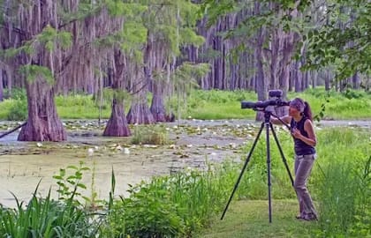 Tara Tanaka fotografiando su pantano como hace a diario para controlar las especies