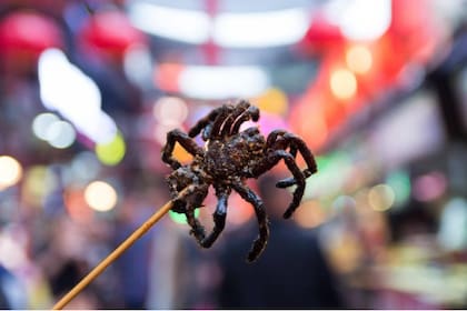 Tarántula frita