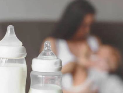 Tardar más en alimentarse es uno de los comportamientos que especialistas llaman a observar