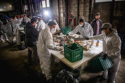 Tarea de reciclaje en una cooperativa qe participa del programa "Ushuaia Recicla"