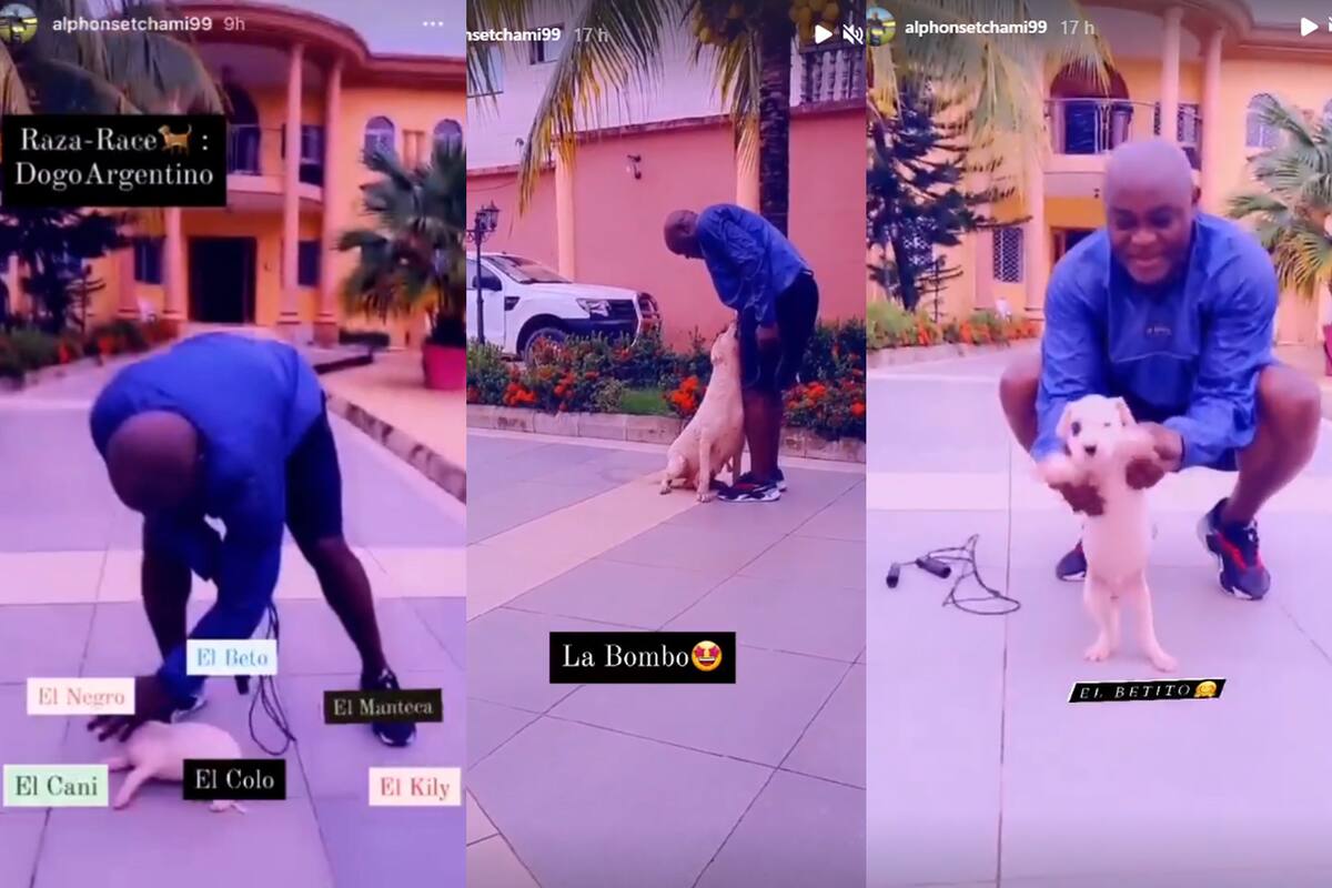 Tchami y sus perros, con apodos de excompañeros suyos en Boca como nombres