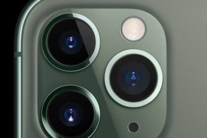 ¿Te da miedo o asco mirar un grupo de hoyos como los de una flor de loto, una esponja marina o la estructura hexagonal de un panal de abejas?