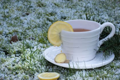 Té de jengibre con limón es muy recomendado en esta época y en la temporada invernal