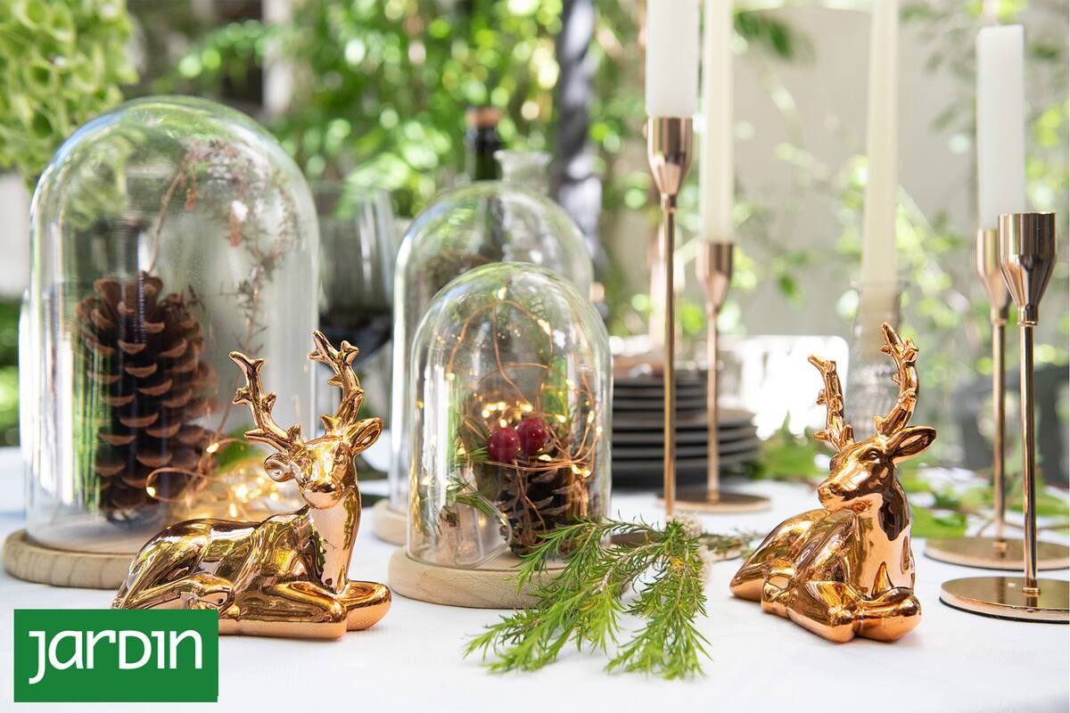 Te presentamos una decoración cautivadora sin mucho esfuerzo.