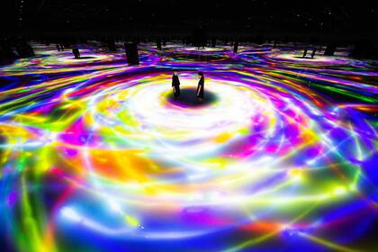 TeamLab Planets se define como un museo en el que se puede caminar a través del agua y un jardín