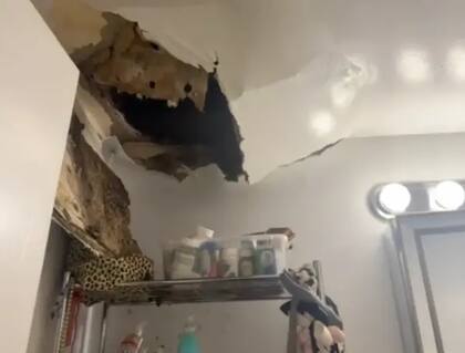 Techo colapsa y libera miles de cucarachas en apartamento de la joven. Foto:TikTok: @bycarolynd