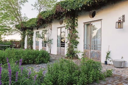 Techo verde, para refrescar la casa y alegrar la vista.