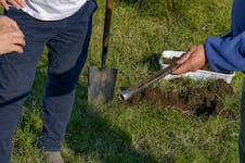 Revolucionario: 60 productores cobraron US$1,2 millones por créditos de carbono y anticipan desembolsos más grandes