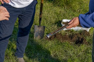 60 productores cobraron US$1,2 millones por créditos de carbono y anticipan desembolsos más grandes