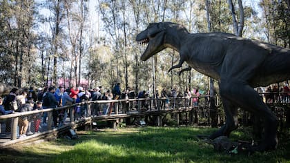 Tecnópolis ofrece espectáculos musicales, cine infantil, deportes y experiencias interactivas