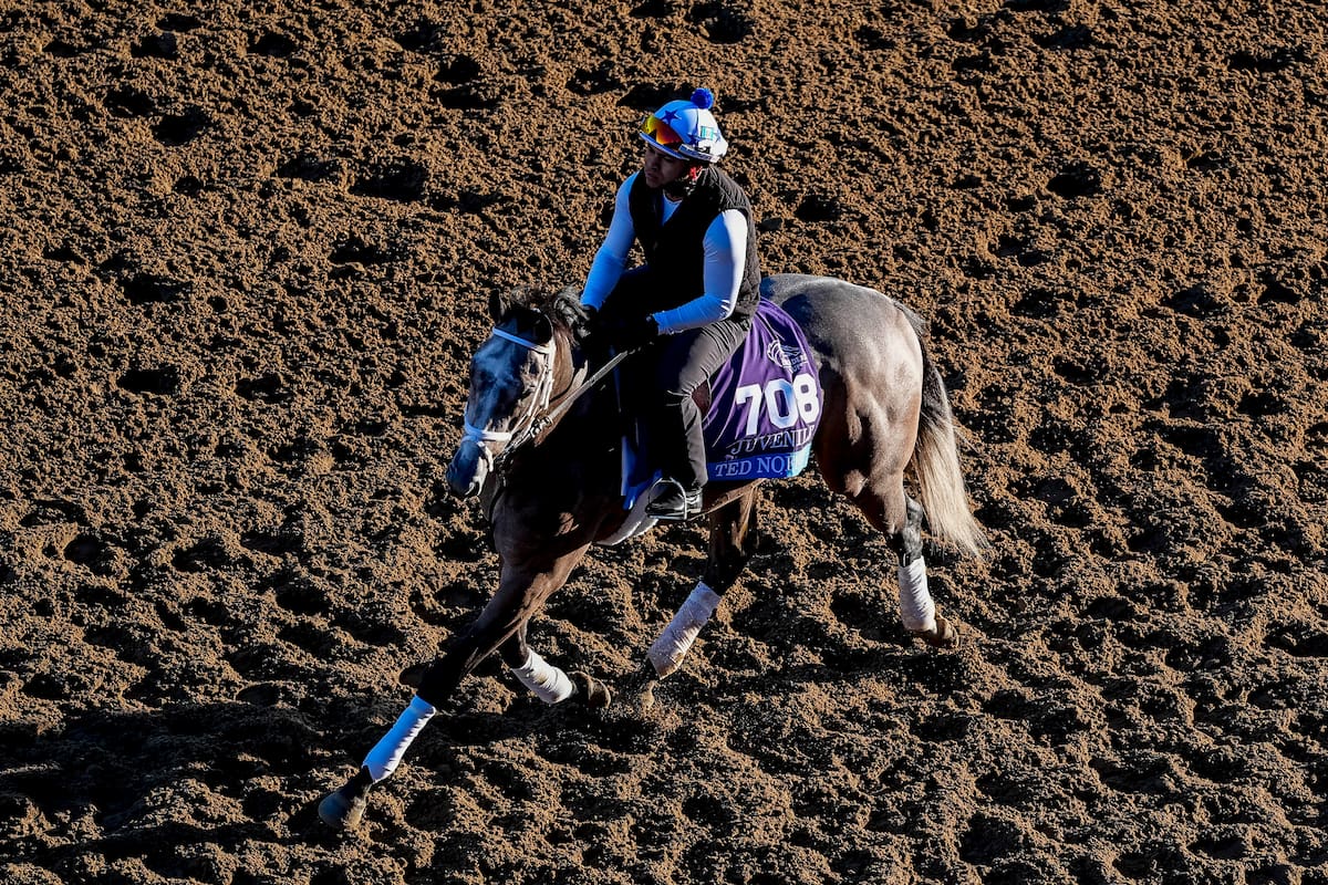 Ted Noffey en medio de un entrenamiento durante su participación en la última Breeders' Cup, donde se lo identificaba cada mañana con el mandil 708