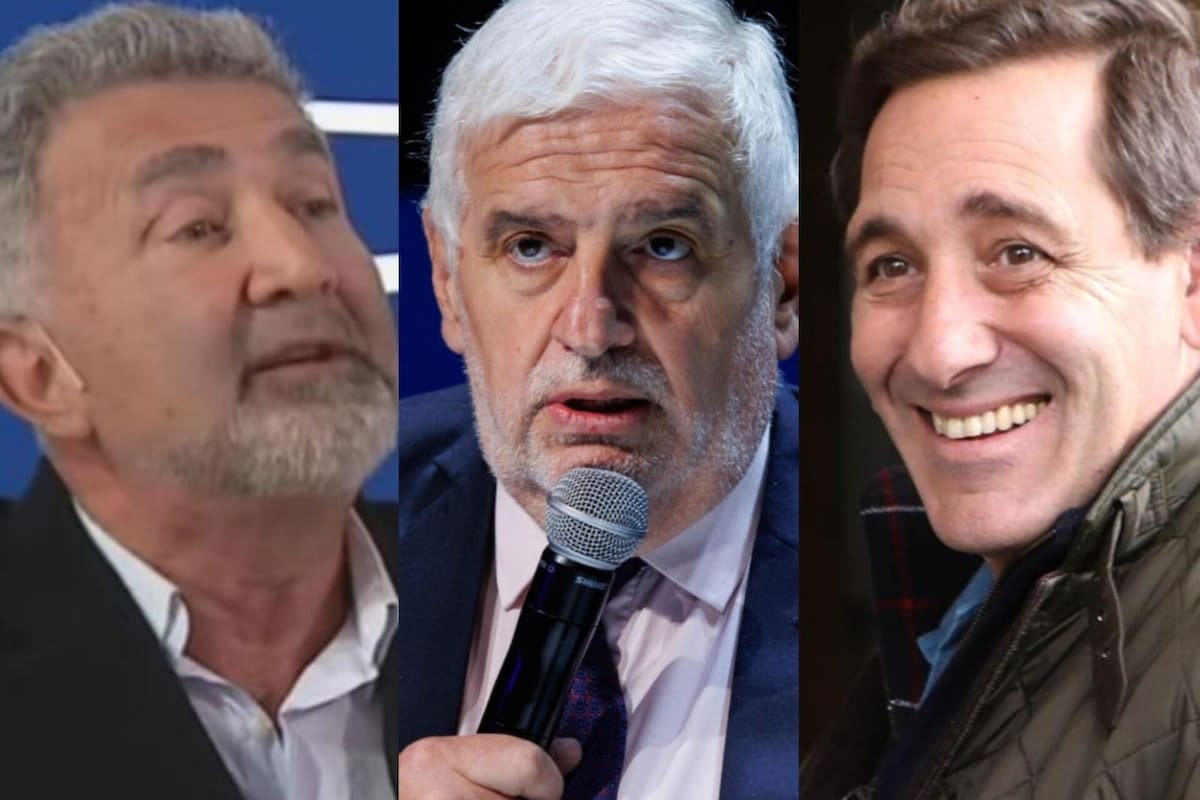 Teddy karagozian, Fernando Vilella y Julio Garro, las últimas bajas del Gobierno