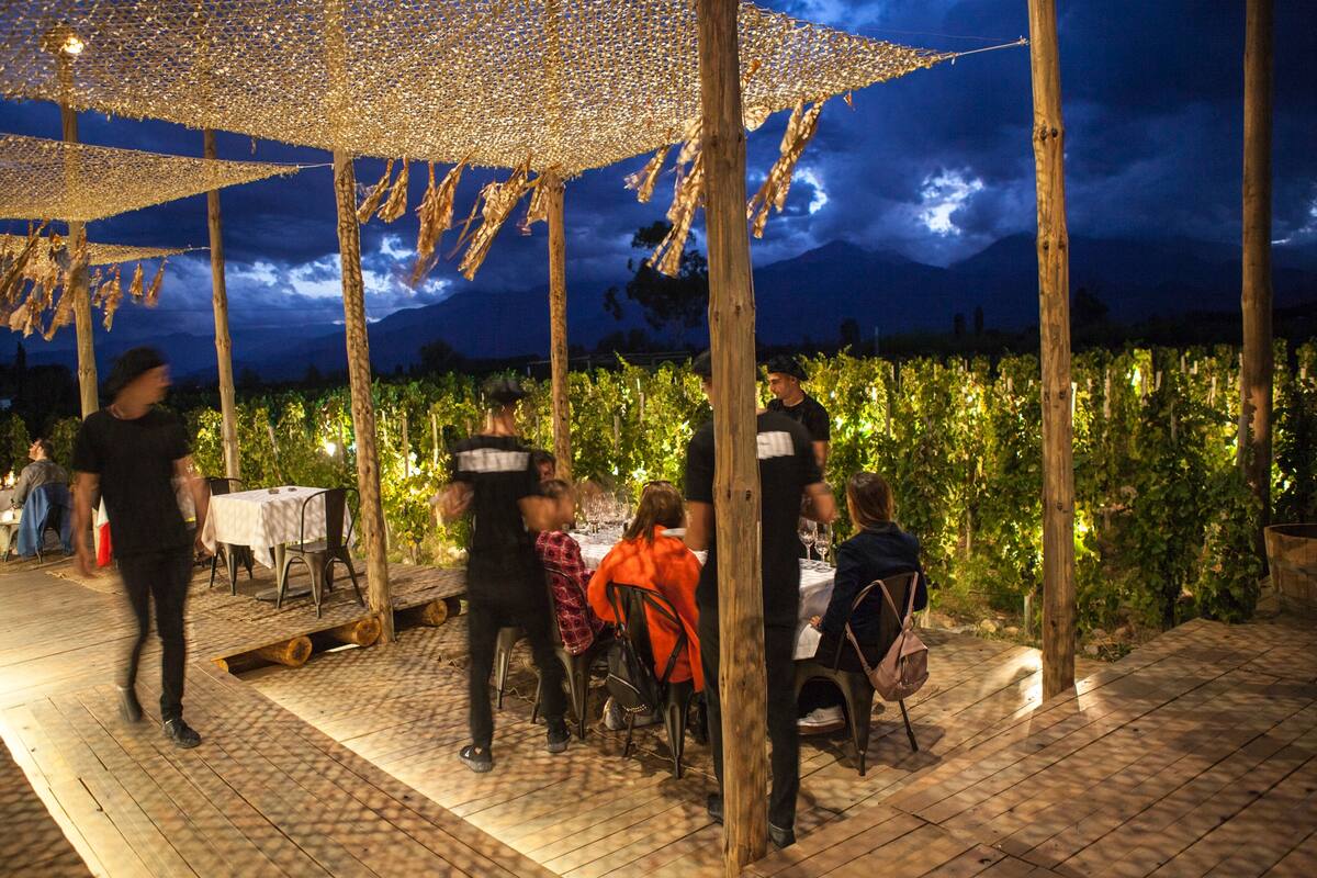 Tegui en SuperUco: 50 cubiertos montados entre los viñedos de la bodega.