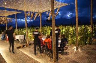 El pop up de Tegui desde adentro, un éxito en Mendoza