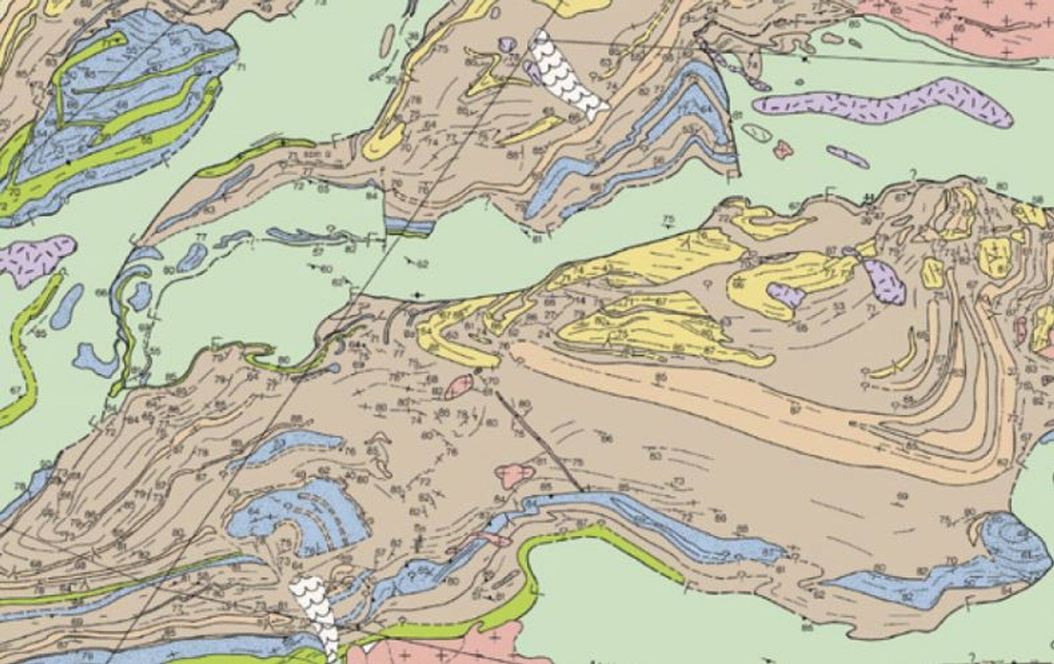 Temblor, en perspectiva — image 2