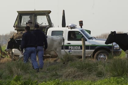 Temor por el abigeato