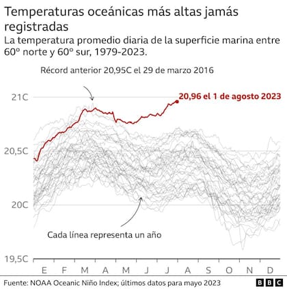 Temperaturas oceánicas jamás registradas
