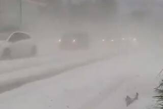 Temporal de granizo y viento: las imágenes de los destrozos en Rosario y la región