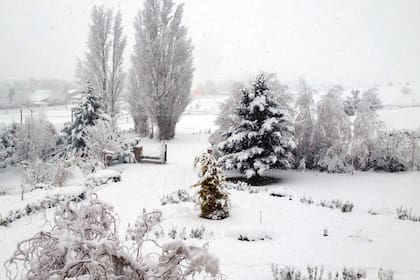 Temporal de nieve en el sur: Neuquén ya formó un comité de emergencia