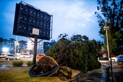 Temporal en Pinamar