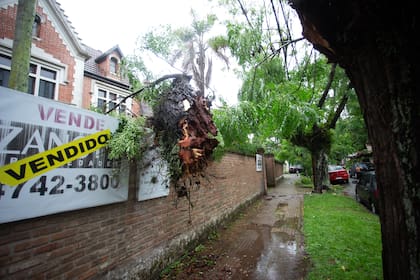 Temporal en la zona de San Isidro