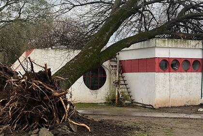 Temporal en San Genaro