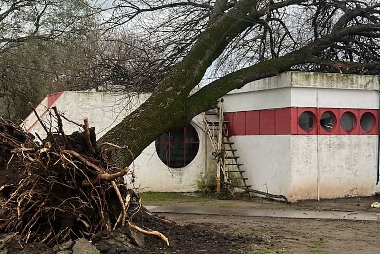 Temporal en San Genaro