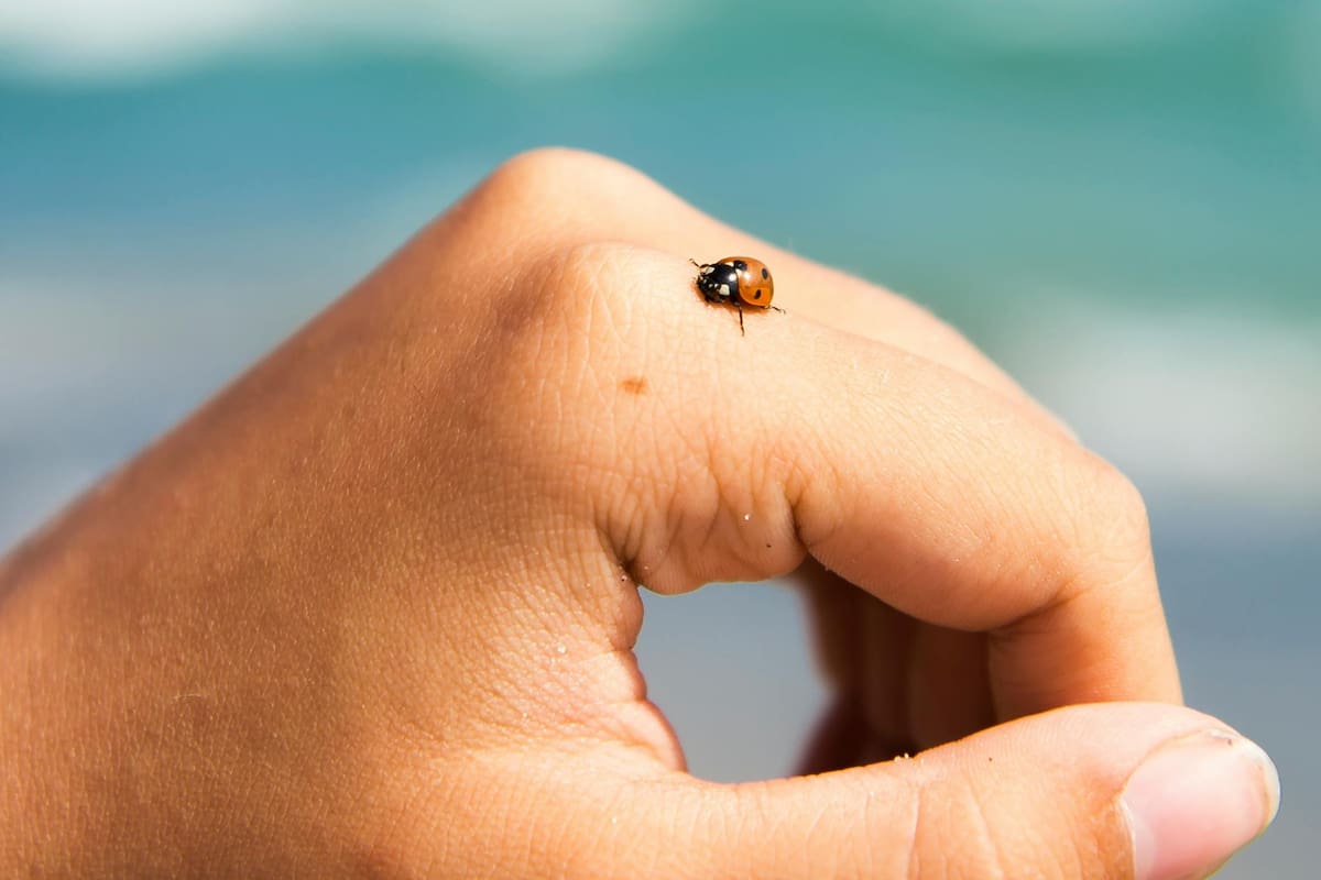 Tendemos a prestar más atención a aquellos sucesos que confirman nuestras creencias que a los que las contradicen (Foto de carácter ilustrativo: PEXELS)