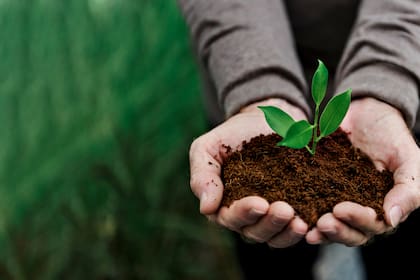 “Tenemos que producir un cambio en varios sentidos y tenemos excelentes condiciones para poder hacerlo. Aapresid es parte de ello, una asociación que busca tener expertise constantemente e involucrar a todos los actores”, indica Noellemeyer