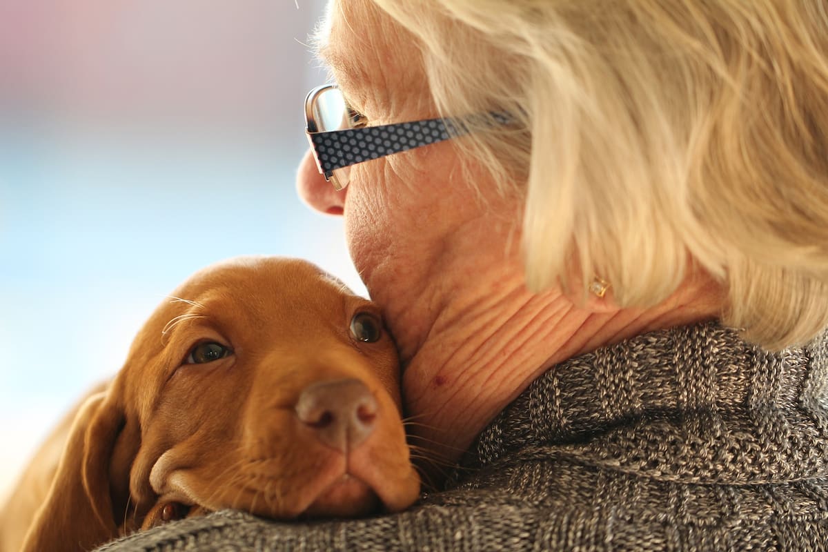 Tener un perro o un gato puede disminuir la sensación de soledad de nuestros abuelos y ayudarlos a evitar algunos problemas de salud.