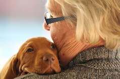 Los expertos en psicología confirman: tener una mascota reduce la percepción del dolor físico y emocional
