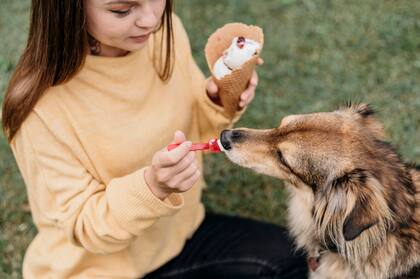 Tener un perro por más de 13 años puede costar hasta US$40 mil en Estados Unidos