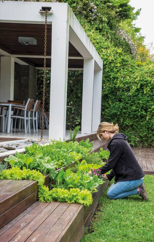 Tener una huerta para consumo propio nos da la ventaja de saber precisamente cómo se cultivan las verduras que consumimos
