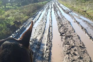 Es directora de una escuela y recorre 50 kilómetros de más porque un camino tiene pantanos