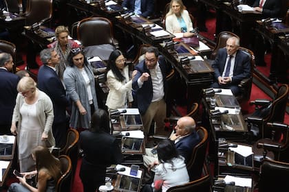 Tensión después del fracaso de la sesión para tratar el proyecto de "ficha limpia" en la Cámara de Diputados
